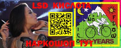 прущие крисы Гусев