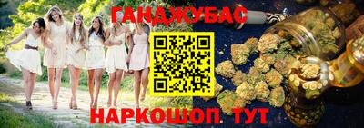 прущие крисы Гусев