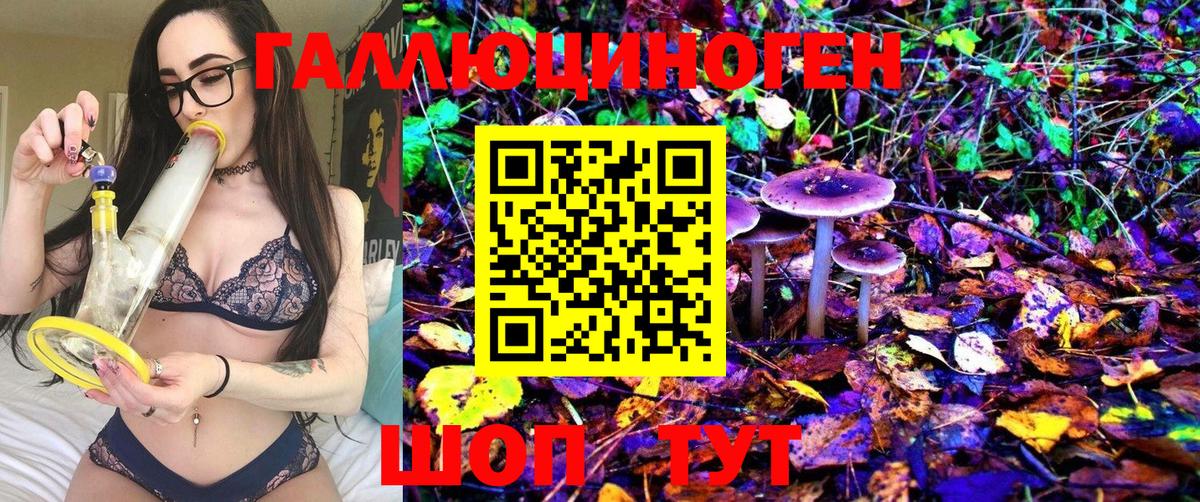 Псилоцибиновые грибы Magic Shrooms  Вход с VPN  дарнет шоп  Нерюнгри 